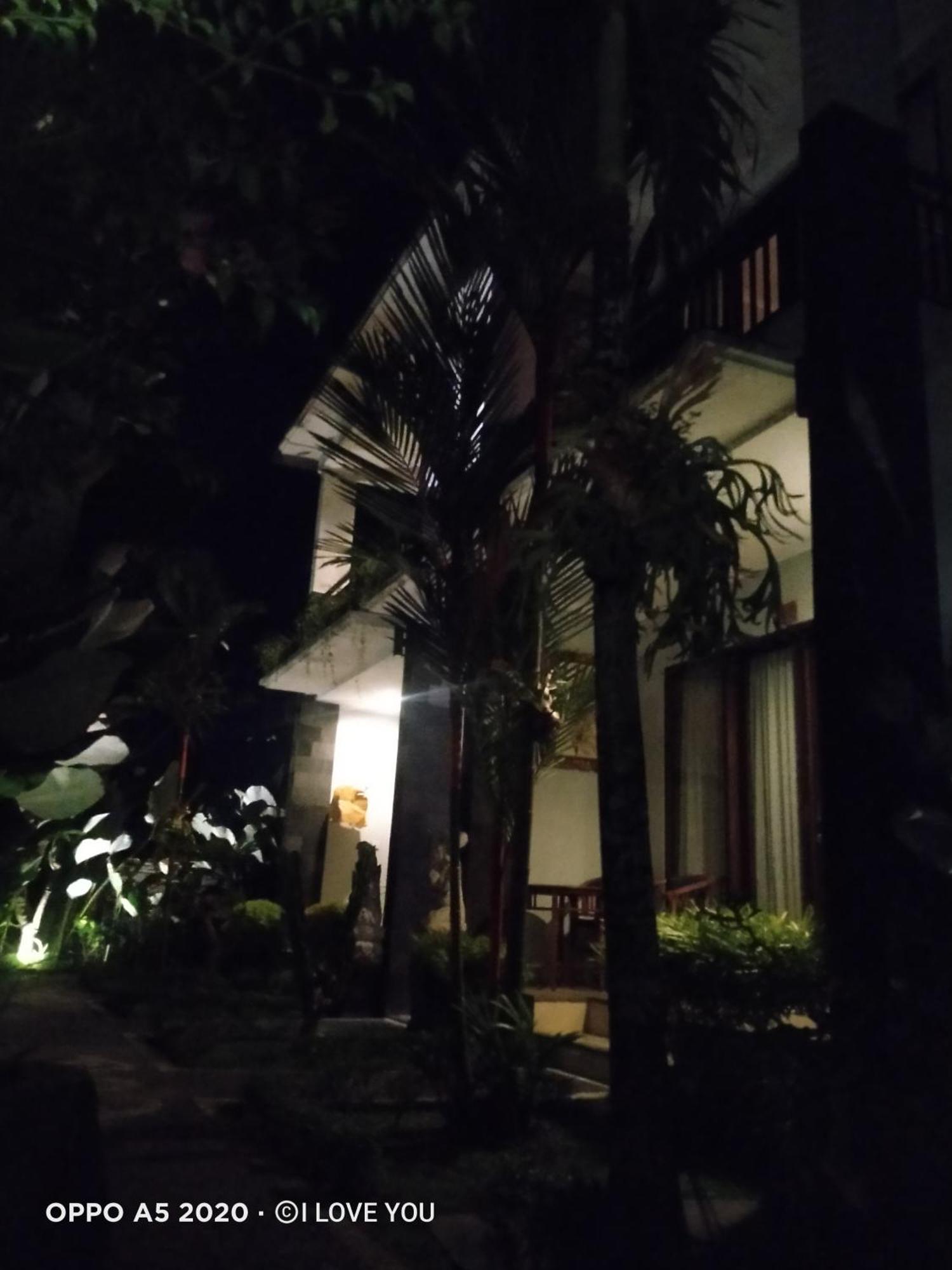 Nugraha Guest House 2 Ubud  Ruang foto